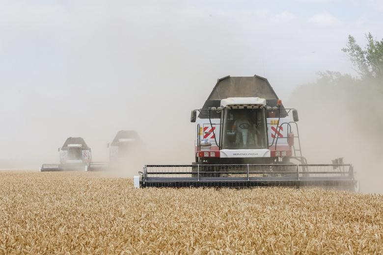 Уборка зерновых в Ростовской области прошла экватор 